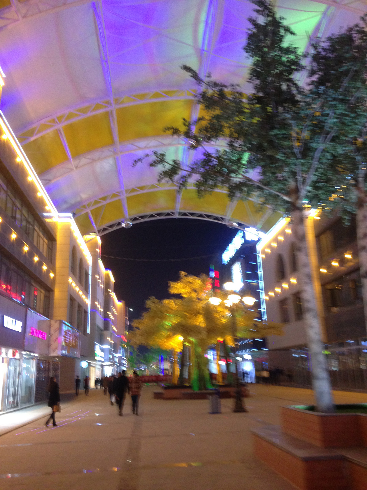 膜結(jié)構(gòu)夜景