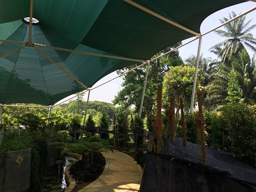 植物園膜結(jié)構(gòu)